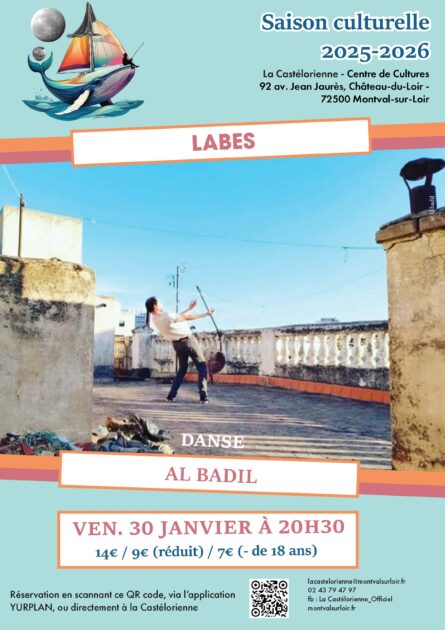 affiche Labes